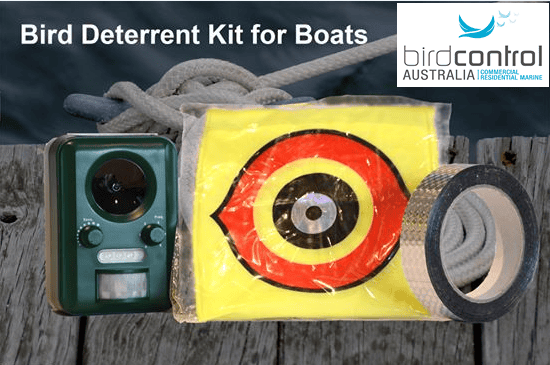 Boat Kit Photo