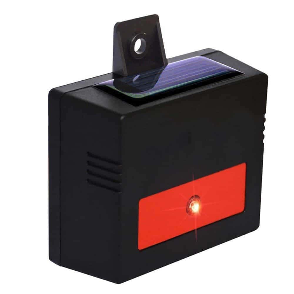 Predator eye Predator eye